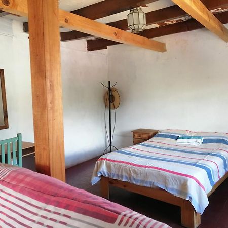 Hostalito Casa Alebrije Guanajuato Zewnętrze zdjęcie