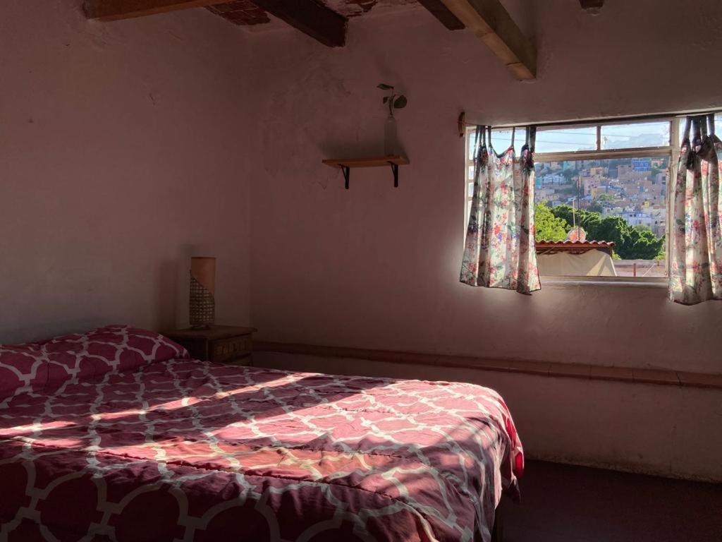 Hostalito Casa Alebrije Guanajuato Zewnętrze zdjęcie